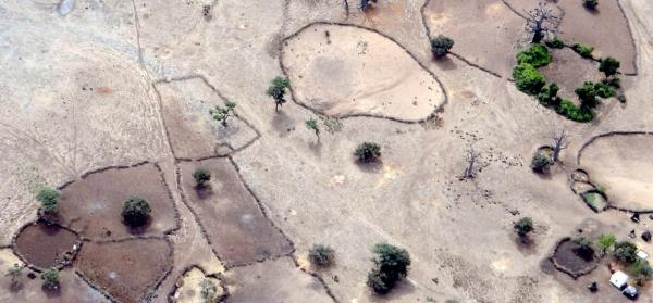 Traditional stock enclosures in the Thiès region, Senegal © J. Bouyer, CIRAD